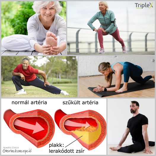 ‼️ 40-től már pláne érdemes beiktatni a rendszeres nyújtást!