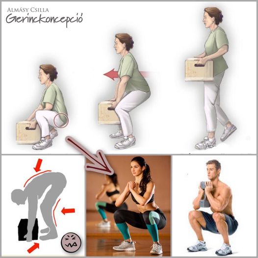 🏋🏻A MOZGÁS INFORMÁCIÓ 🧠 3. rész