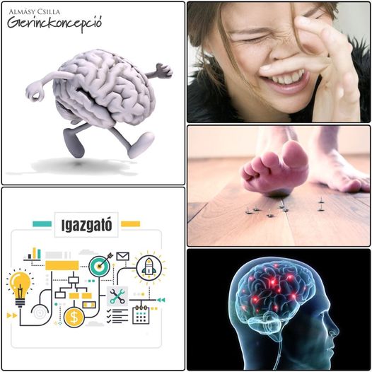 🤸‍♀️🧠 A MOZGÁS INFORMÁCIÓ 1. rész
