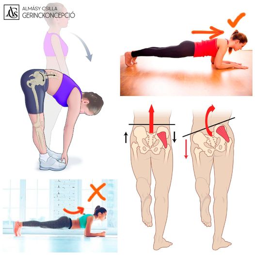 PELVICO-LUMBALIS RITMUS