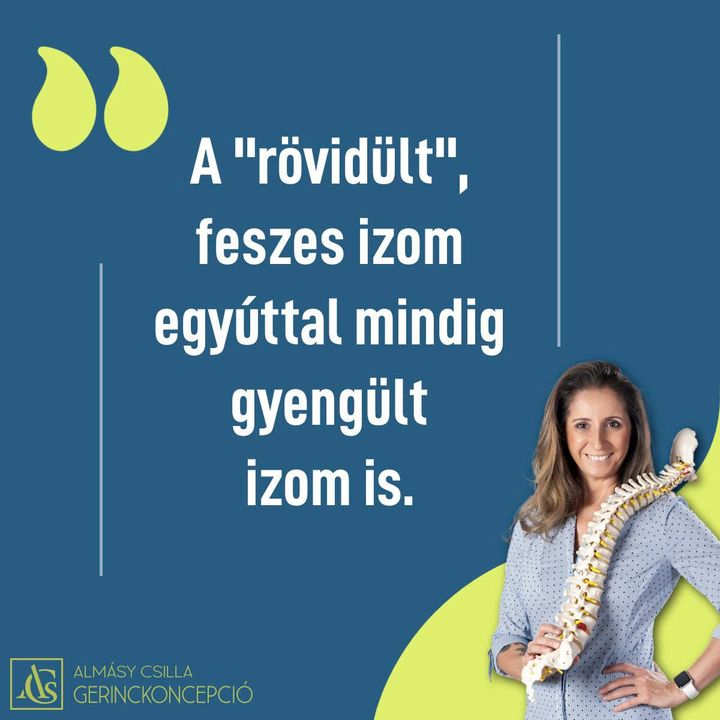 RÖVID, FESZES IZOM = GYENGE IZOM Amikor egy izmot feszesnek, esetleg fájdalmasan túlfeszültnek érzel,…