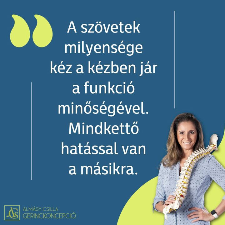 A SZÖVETEK MILYENSÉGE KÉZ A KÉZBEN JÁR A FUNKCIÓ MINŐSÉGÉVEL. MINDKETTŐ HATÁSSAL VAN A…