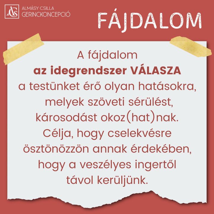 FÁJDALOM – 1. rész A közérzetünket és az életminőségünket negatívan befolyásoló jelenség a fájdalom.…