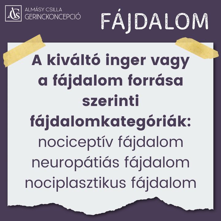 FÁJDALOM – 3. rész Nociceptív, neuropátiás és nociplasztikus fájdalom A terápiás munkában nagyon fontos…