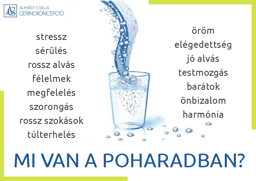 🥛 MI VAN A POHARADBAN? Azt, hogy hogy vagyunk, minden olyan dolog befolyásolja, ami…